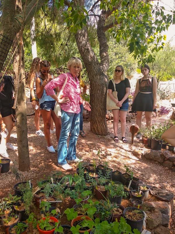 Class visits the Sparoza Mediterranean Garden nursery