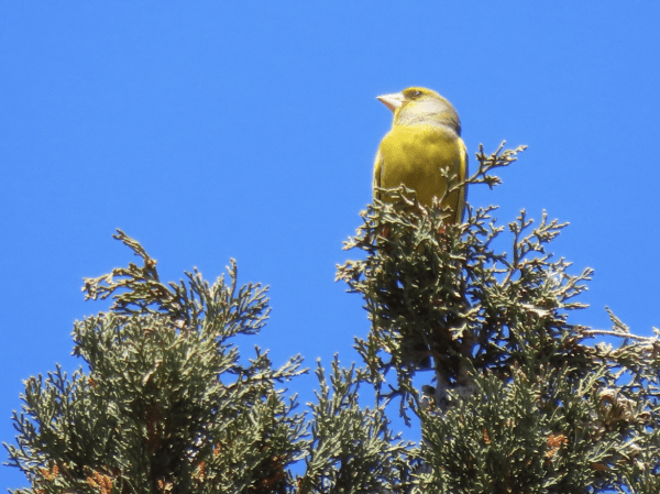 Exploring Big Ideas in Wild Places: Arrington’s Field Study Experience blog Arrington travel 2500005
