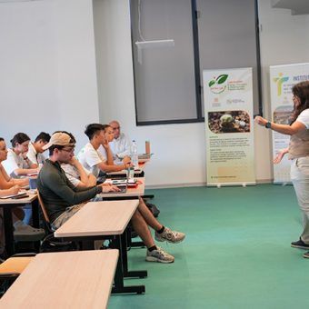 Renew & Rise: Climate Action and Fair Energy Policies (Athens, Kozani, Halkidiki) ENVR URBS375